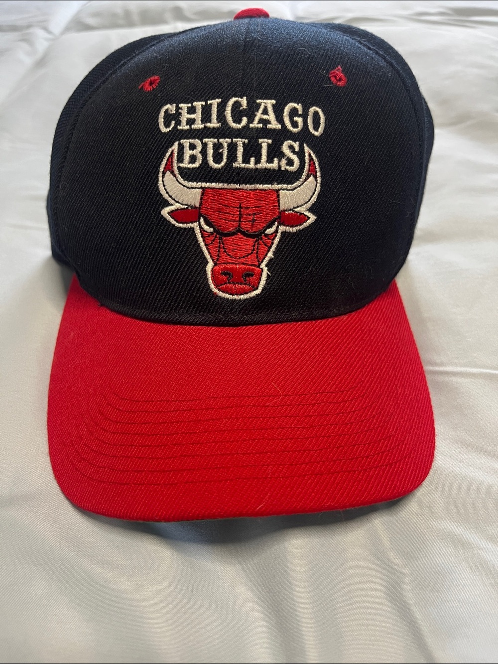 Vintage 1990s Chicago Bulls SnapBack Cap Officially Licensed Michael Jordan